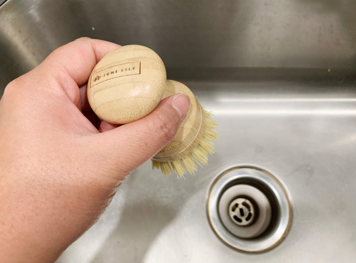Dish Brush & Replacement Heads – SOLANA