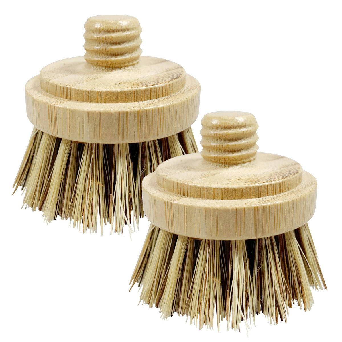 Replacement Brush Heads for Bamboo Dish Brush (4 Pack) - Jungle