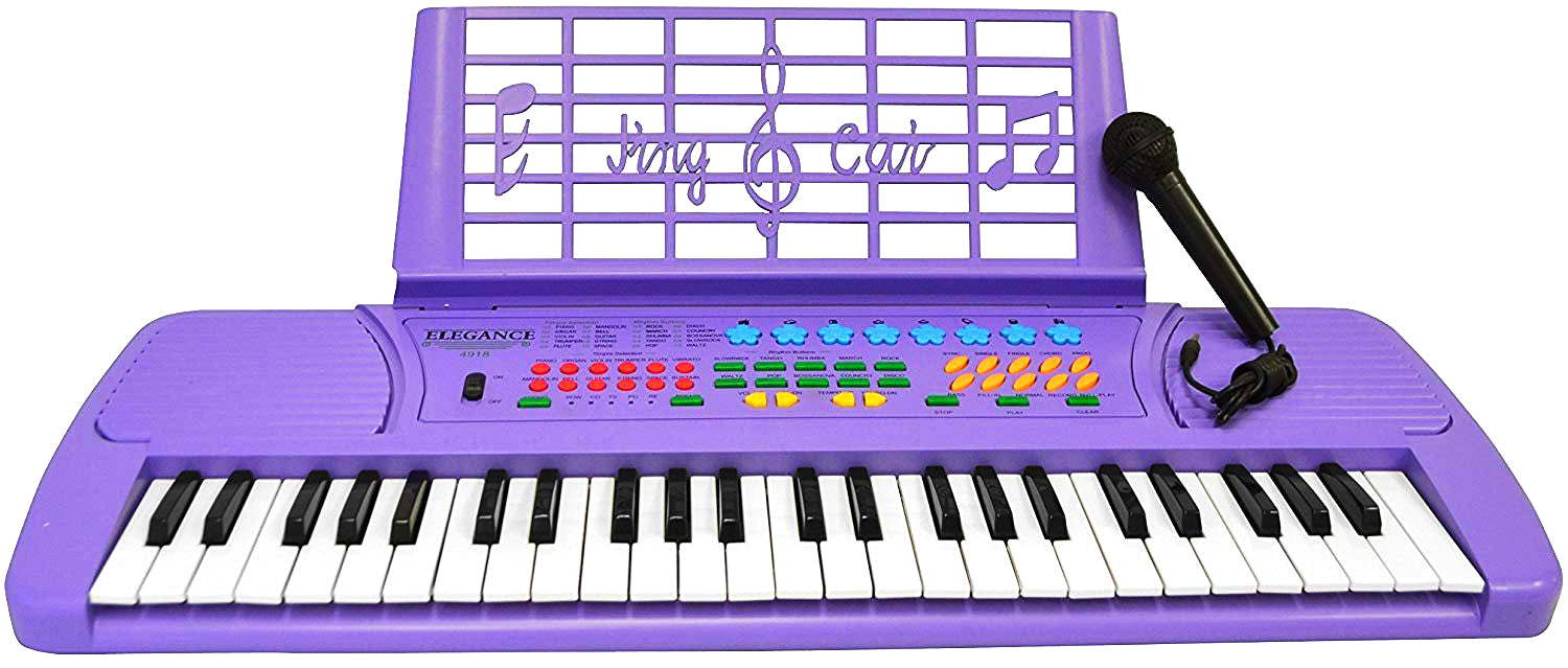 JUNELILY 49-Key Mid-Size Piano Keyboard for Kids With Music Rest & Mic –  JUNELILYBEAUTY